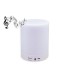 Bluetooth Altavoz